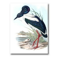 PROIZVODNJA Australian Vintage ptice i tradicionalni platneni zidni otisak