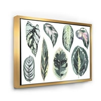 Designart 'Tropical Calathea Leaves On White' Boemski I Eklektični Uramljeni Platneni Zidni Umjetnički Print