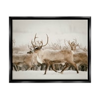 Stupell Elk Stado Snježna Zimska Scena Životinje I Insekti Fotografija Crni Plutač Uokvireni Art Print Wall