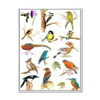 Designart' Vital Colored Birds Plancard ' Tradicionalni Uramljeni Platneni Zidni Umjetnički Print
