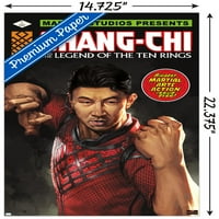 Marvel Shang-Chi i legenda od deset prstenova - Akcijski obrazac Zidni poster, 14.725 22.375