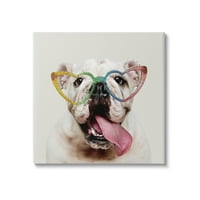 Stupell Happy Bulldog Rainbow Heart Naočare Životinje I Insekti Slikarska Galerija Umotana Platnena Štampa