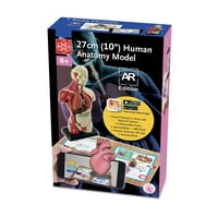 Edu-igračke 10 Human Anatomy A.r. verzija