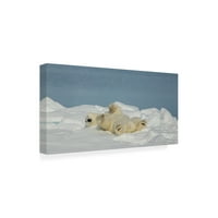 Joan Gil Raga 'Polar Bear In Relax' Canvas Art