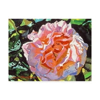Zaštitni znak likovne umjetnosti' živopisnog ružičastog cvijeta ' platna Umjetnost Davida Lloyda Glovera