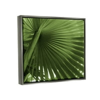 Stupell Industries zatvorite bujnu zelenu tropsku biljku palminog lista fotografija sjaj sive plutajuće uokvirene platnene štampe zidna umjetnost, dizajn Grafitee Studios