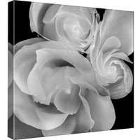 Slike, rose Bloom, 20x20, dekorativna platna zidna Umjetnost