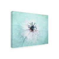 Jacky Parker' Misty Blue ' Platno Umjetnost