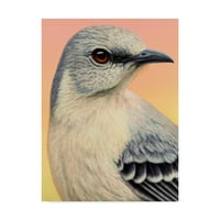 Zaštitni znak Likovna umjetnost platna 'ptica rugalica', James W. Johnson